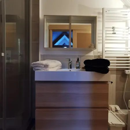 Apartment Duplex - Coeur De Station - Super Lioran