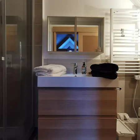 Duplex - Coeur De Station - Super Lioran Apartment *